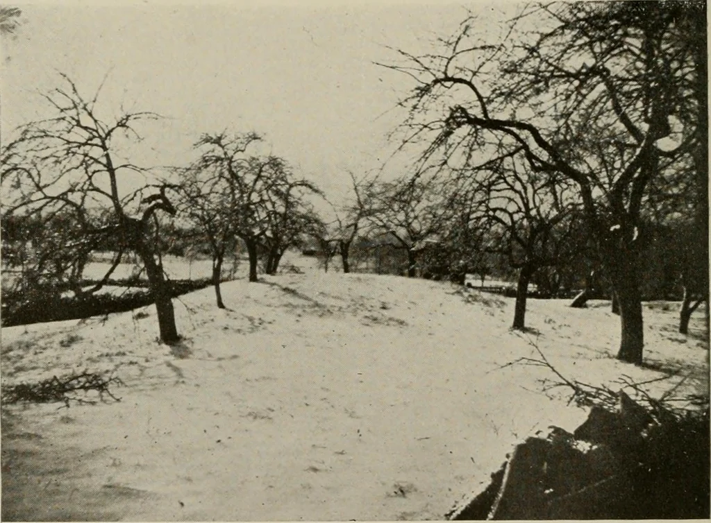 An illustration from How to make a country place; an account of the successes and the mistakes of an amateur in thirty-five years of farming, building and development: together with a practical plan for securing a home and an independent income, starting with small capital, 1914, leaf 139