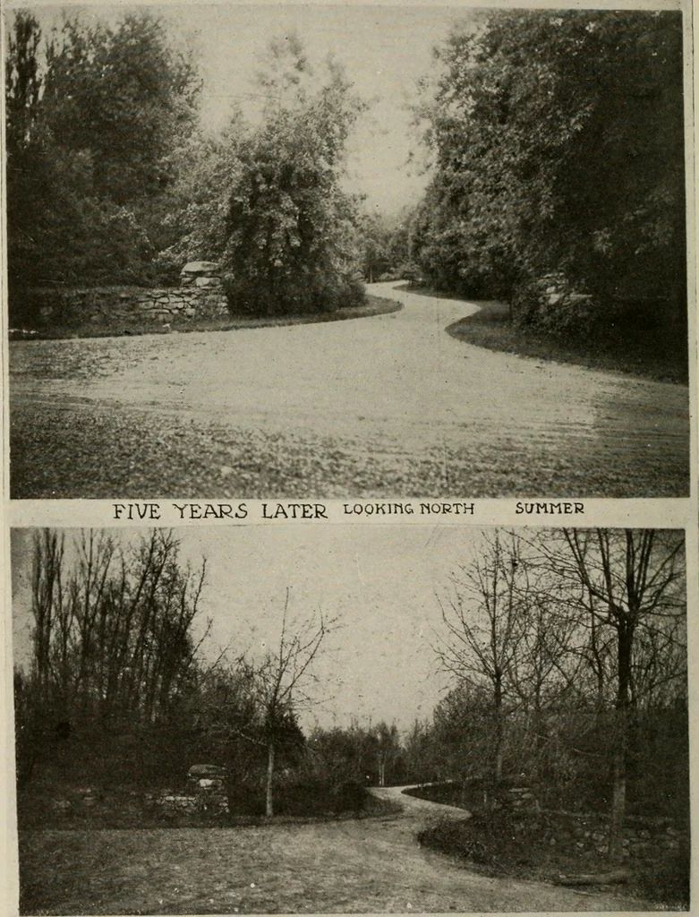 An illustration from How to make a country place; an account of the successes and the mistakes of an amateur in thirty-five years of farming, building and development: together with a practical plan for securing a home and an independent income, starting with small capital, 1914, leaf 147