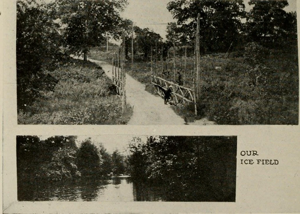 An illustration from How to make a country place; an account of the successes and the mistakes of an amateur in thirty-five years of farming, building and development: together with a practical plan for securing a home and an independent income, starting with small capital, 1914, leaf 155