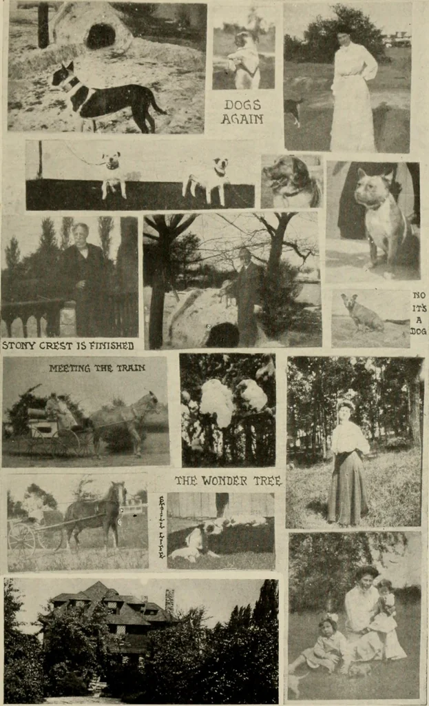 An illustration from How to make a country place; an account of the successes and the mistakes of an amateur in thirty-five years of farming, building and development: together with a practical plan for securing a home and an independent income, starting with small capital, 1914, leaf 170