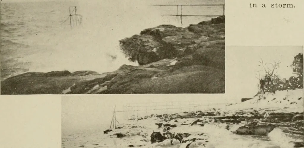 An illustration from How to make a country place; an account of the successes and the mistakes of an amateur in thirty-five years of farming, building and development: together with a practical plan for securing a home and an independent income, starting with small capital, 1914, leaf 190