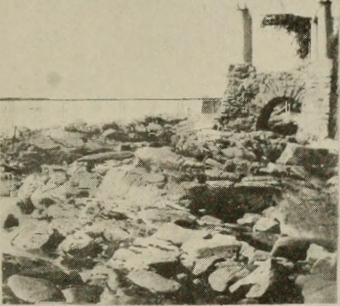 An illustration from How to make a country place; an account of the successes and the mistakes of an amateur in thirty-five years of farming, building and development: together with a practical plan for securing a home and an independent income, starting with small capital, 1914, leaf 200