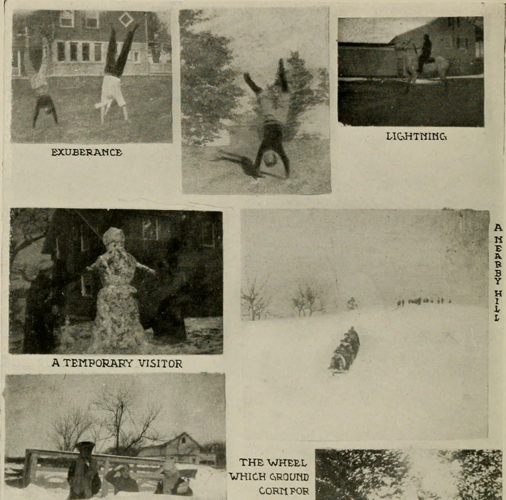 An illustration from How to make a country place; an account of the successes and the mistakes of an amateur in thirty-five years of farming, building and development: together with a practical plan for securing a home and an independent income, starting with small capital, 1914, leaf 25