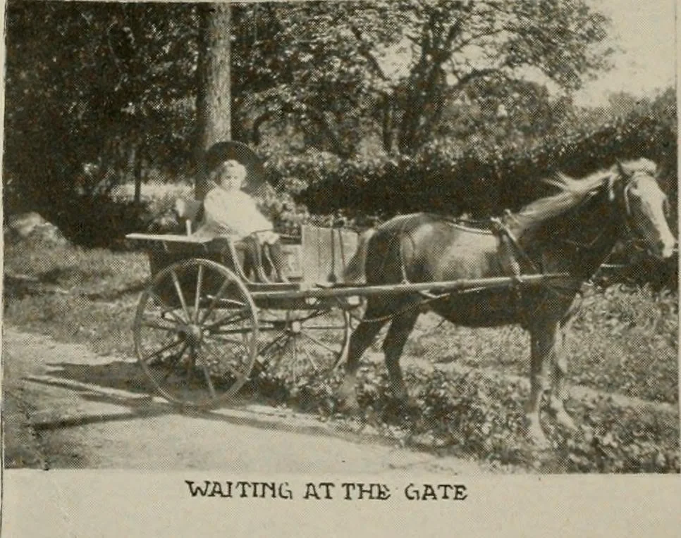 An illustration from How to make a country place; an account of the successes and the mistakes of an amateur in thirty-five years of farming, building and development: together with a practical plan for securing a home and an independent income, starting with small capital, 1914, leaf 25
