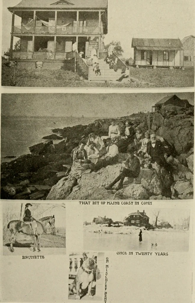 An illustration from How to make a country place; an account of the successes and the mistakes of an amateur in thirty-five years of farming, building and development: together with a practical plan for securing a home and an independent income, starting with small capital, 1914, leaf 272