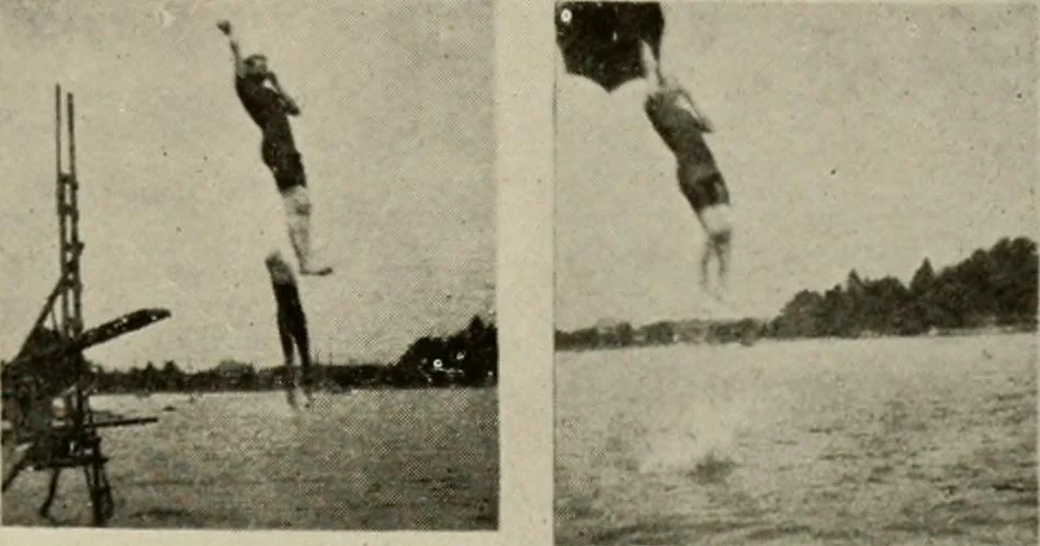 An illustration from How to make a country place; an account of the successes and the mistakes of an amateur in thirty-five years of farming, building and development: together with a practical plan for securing a home and an independent income, starting with small capital, 1914, leaf 274