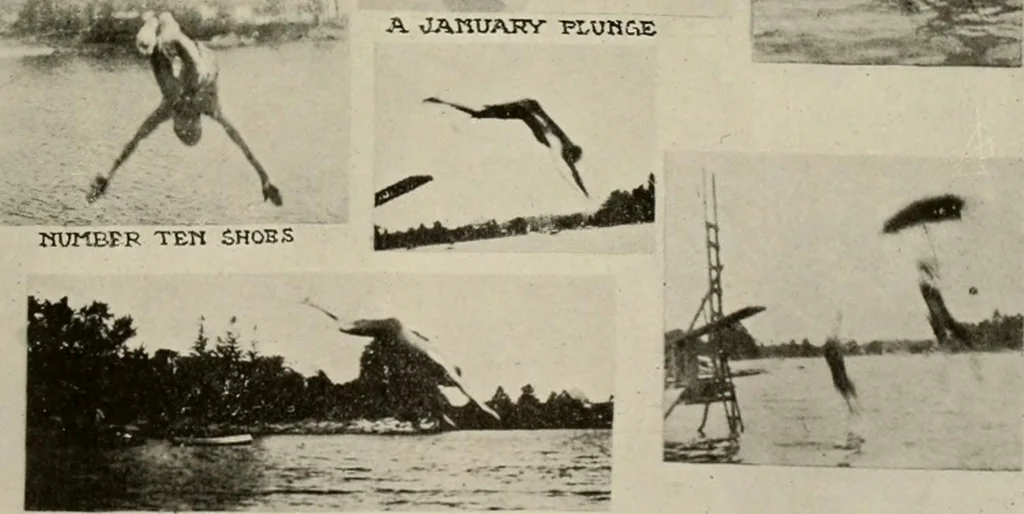 An illustration from How to make a country place; an account of the successes and the mistakes of an amateur in thirty-five years of farming, building and development: together with a practical plan for securing a home and an independent income, starting with small capital, 1914, leaf 274