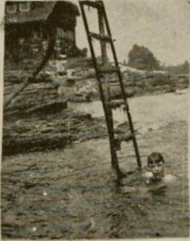 An illustration from How to make a country place; an account of the successes and the mistakes of an amateur in thirty-five years of farming, building and development: together with a practical plan for securing a home and an independent income, starting with small capital, 1914, leaf 275