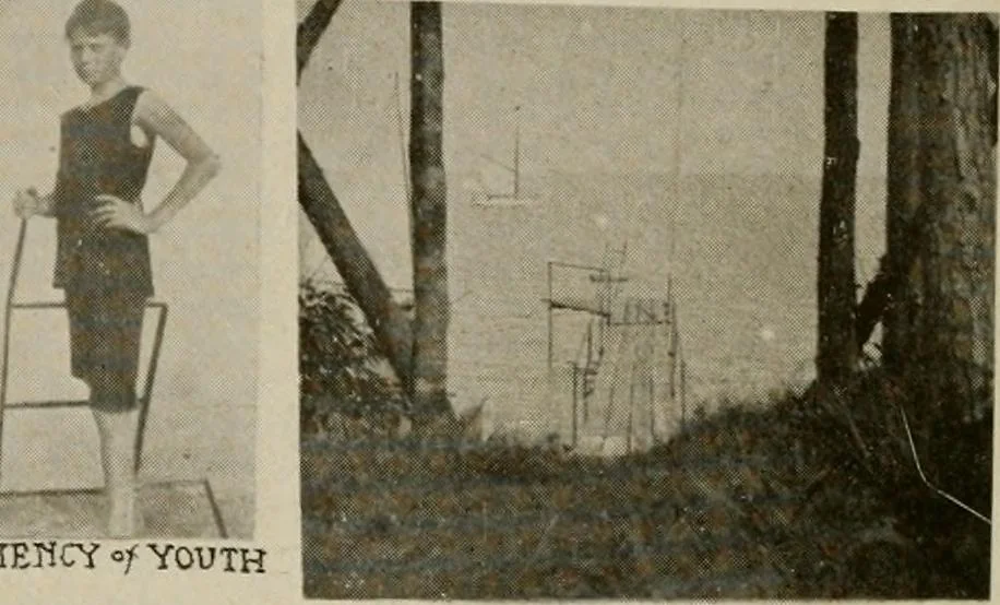 An illustration from How to make a country place; an account of the successes and the mistakes of an amateur in thirty-five years of farming, building and development: together with a practical plan for securing a home and an independent income, starting with small capital, 1914, leaf 275