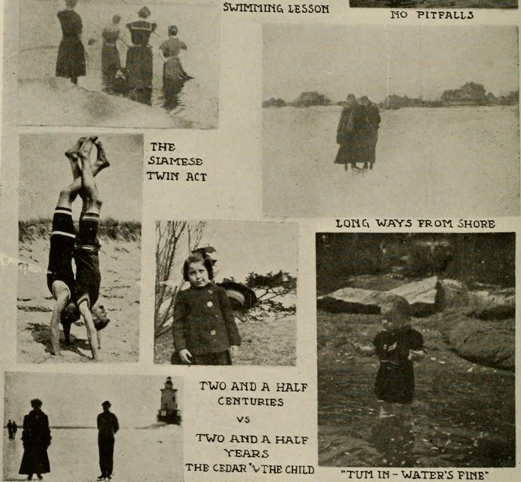 An illustration from How to make a country place; an account of the successes and the mistakes of an amateur in thirty-five years of farming, building and development: together with a practical plan for securing a home and an independent income, starting with small capital, 1914, leaf 275