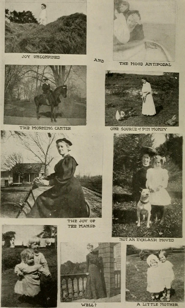An illustration from How to make a country place; an account of the successes and the mistakes of an amateur in thirty-five years of farming, building and development: together with a practical plan for securing a home and an independent income, starting with small capital, 1914, leaf 29