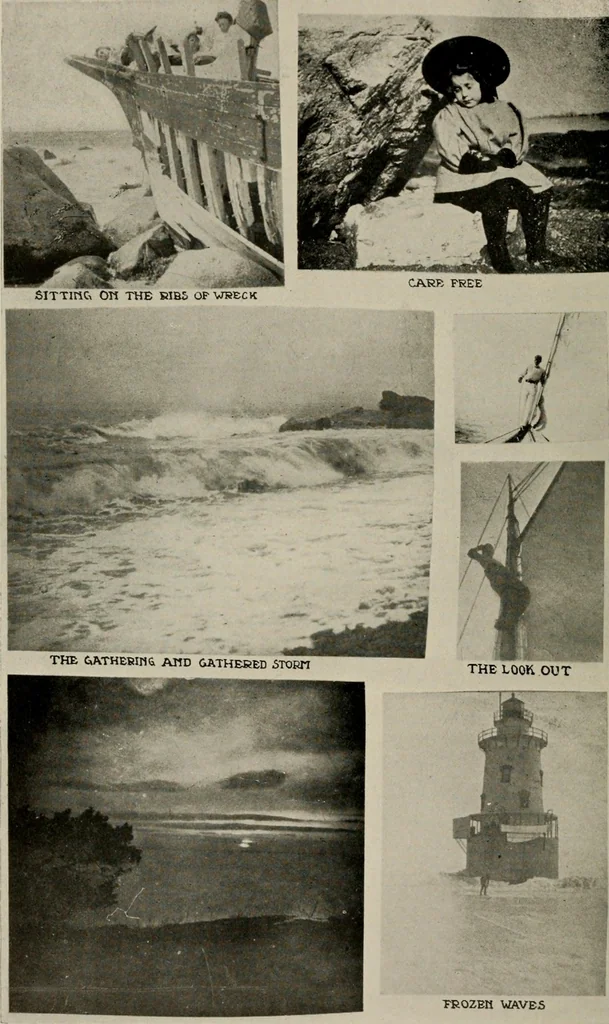 An illustration from How to make a country place; an account of the successes and the mistakes of an amateur in thirty-five years of farming, building and development: together with a practical plan for securing a home and an independent income, starting with small capital, 1914, leaf 299
