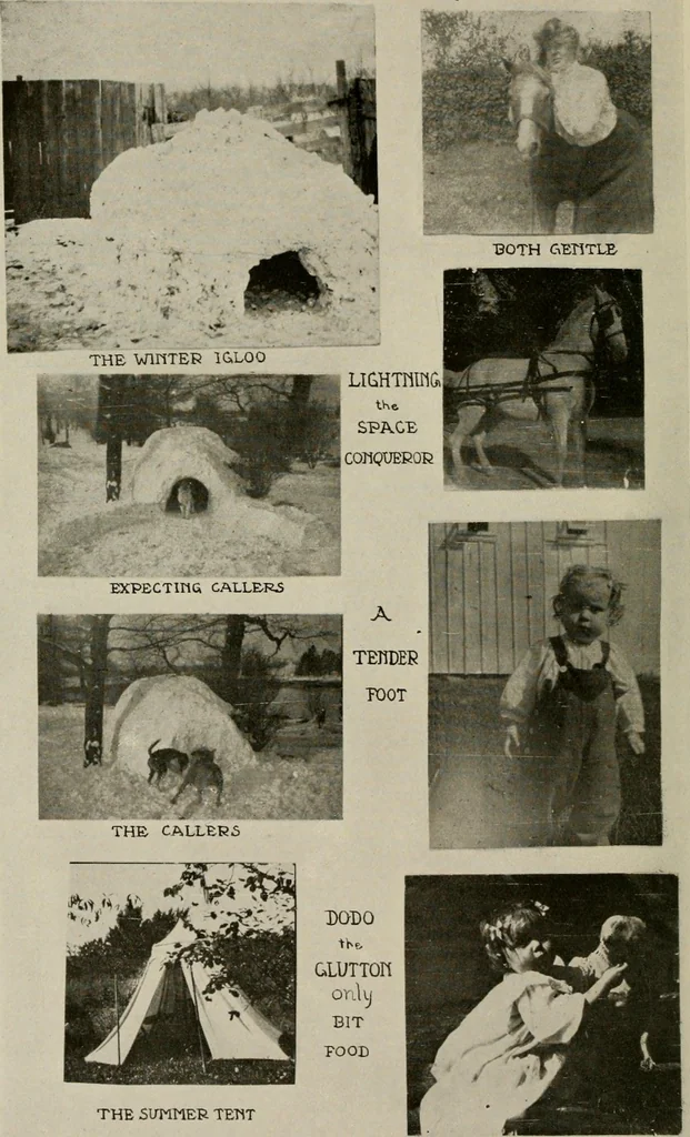 An illustration from How to make a country place; an account of the successes and the mistakes of an amateur in thirty-five years of farming, building and development: together with a practical plan for securing a home and an independent income, starting with small capital, 1914, leaf 31