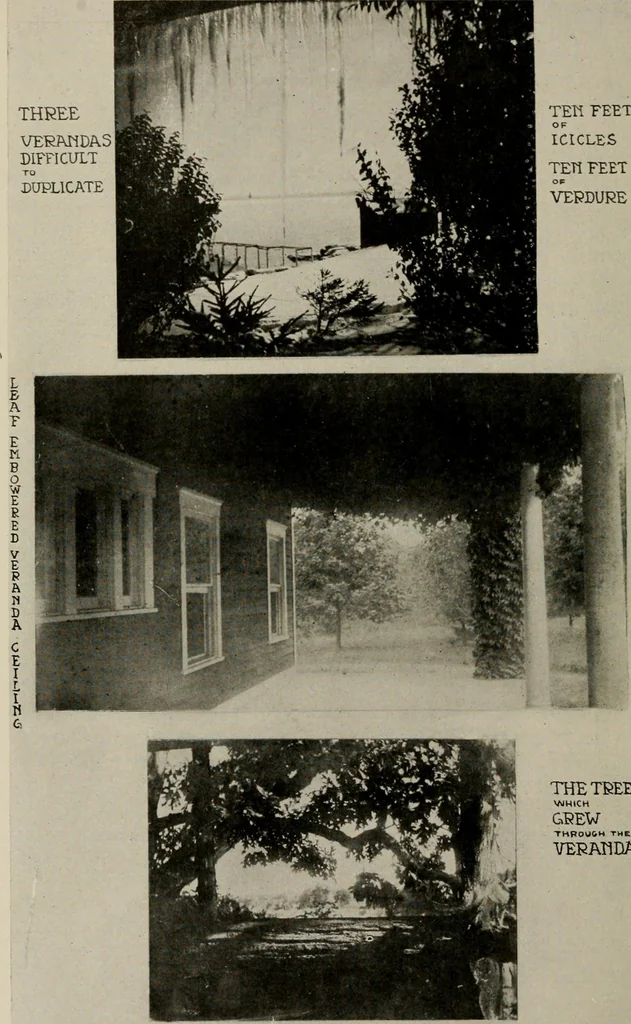 An illustration from How to make a country place; an account of the successes and the mistakes of an amateur in thirty-five years of farming, building and development: together with a practical plan for securing a home and an independent income, starting with small capital, 1914, leaf 317