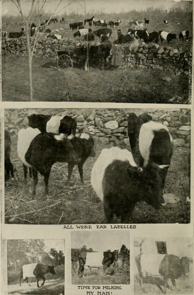 An illustration from How to make a country place; an account of the successes and the mistakes of an amateur in thirty-five years of farming, building and development: together with a practical plan for securing a home and an independent income, starting with small capital, 1914, leaf 33