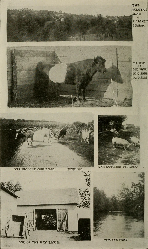 An illustration from How to make a country place; an account of the successes and the mistakes of an amateur in thirty-five years of farming, building and development: together with a practical plan for securing a home and an independent income, starting with small capital, 1914, leaf 35
