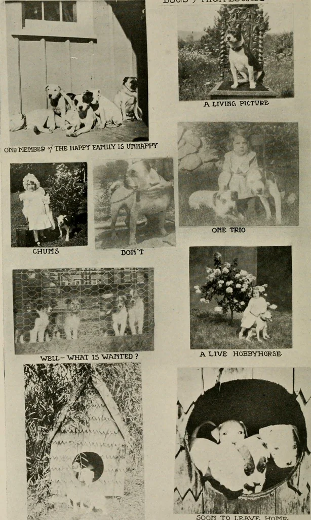 An illustration from How to make a country place; an account of the successes and the mistakes of an amateur in thirty-five years of farming, building and development: together with a practical plan for securing a home and an independent income, starting with small capital, 1914, leaf 39
