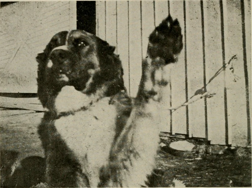 An illustration from How to make a country place; an account of the successes and the mistakes of an amateur in thirty-five years of farming, building and development: together with a practical plan for securing a home and an independent income, starting with small capital, 1914, leaf 43