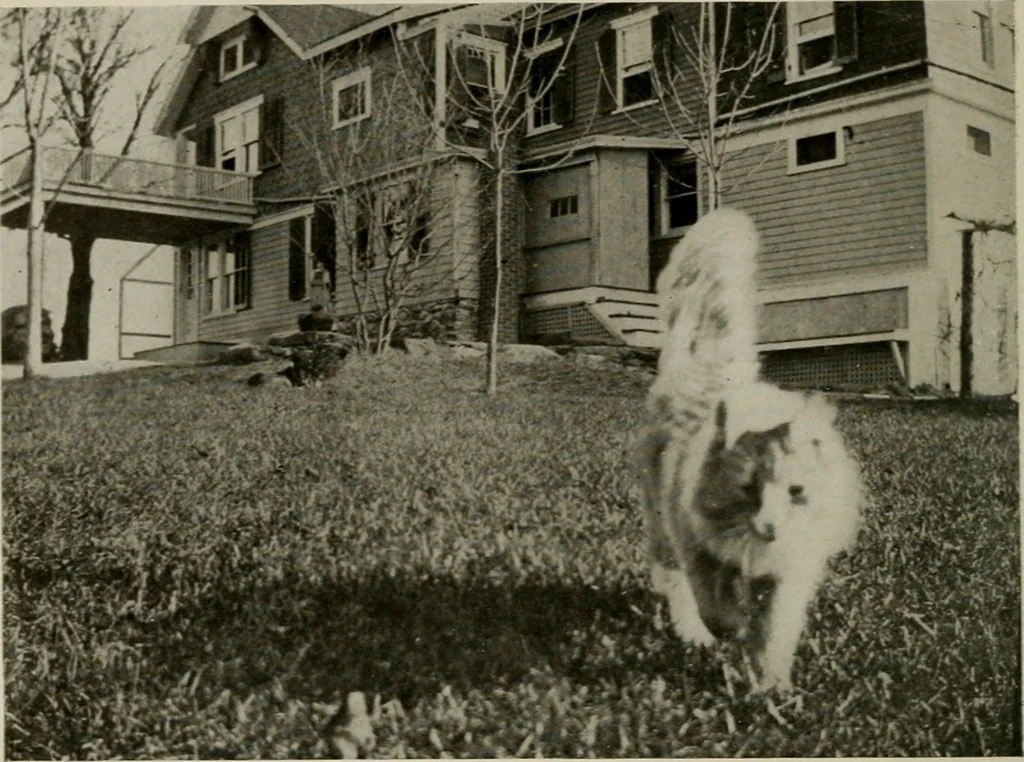 An illustration from How to make a country place; an account of the successes and the mistakes of an amateur in thirty-five years of farming, building and development: together with a practical plan for securing a home and an independent income, starting with small capital, 1914, leaf 47