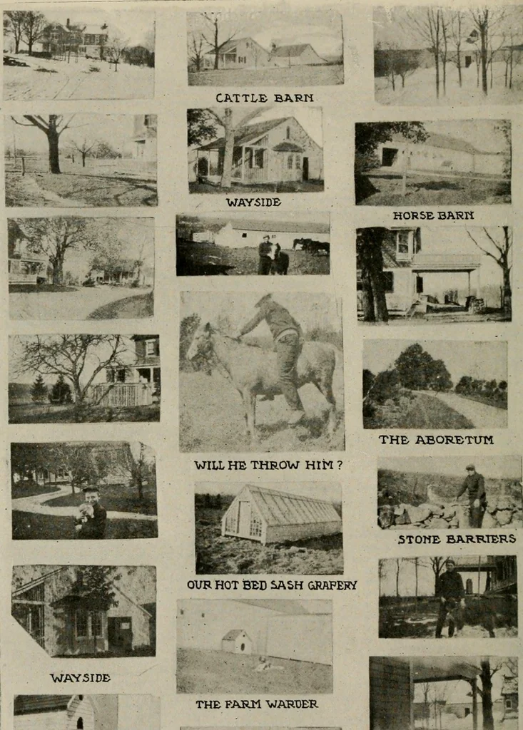 An illustration from How to make a country place; an account of the successes and the mistakes of an amateur in thirty-five years of farming, building and development: together with a practical plan for securing a home and an independent income, starting with small capital, 1914, leaf 49