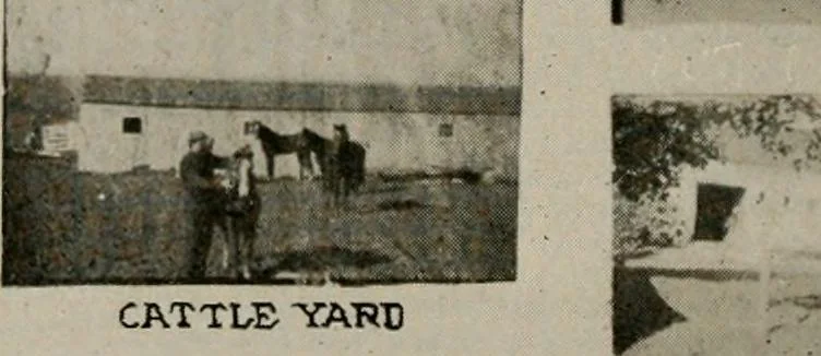 An illustration from How to make a country place; an account of the successes and the mistakes of an amateur in thirty-five years of farming, building and development: together with a practical plan for securing a home and an independent income, starting with small capital, 1914, leaf 49