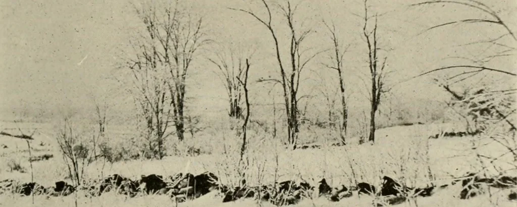 An illustration from How to make a country place; an account of the successes and the mistakes of an amateur in thirty-five years of farming, building and development: together with a practical plan for securing a home and an independent income, starting with small capital, 1914, leaf 62
