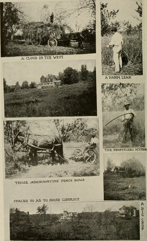An illustration from How to make a country place; an account of the successes and the mistakes of an amateur in thirty-five years of farming, building and development: together with a practical plan for securing a home and an independent income, starting with small capital, 1914, leaf 67