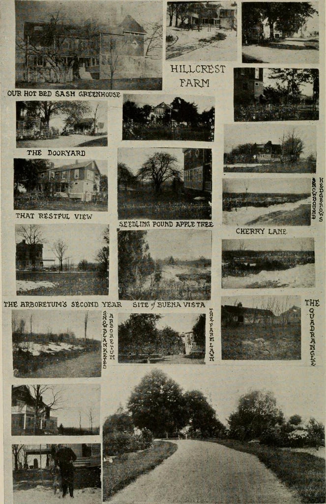 An illustration from How to make a country place; an account of the successes and the mistakes of an amateur in thirty-five years of farming, building and development: together with a practical plan for securing a home and an independent income, starting with small capital, 1914, leaf 73