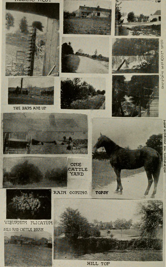 An illustration from How to make a country place; an account of the successes and the mistakes of an amateur in thirty-five years of farming, building and development: together with a practical plan for securing a home and an independent income, starting with small capital, 1914, leaf 75