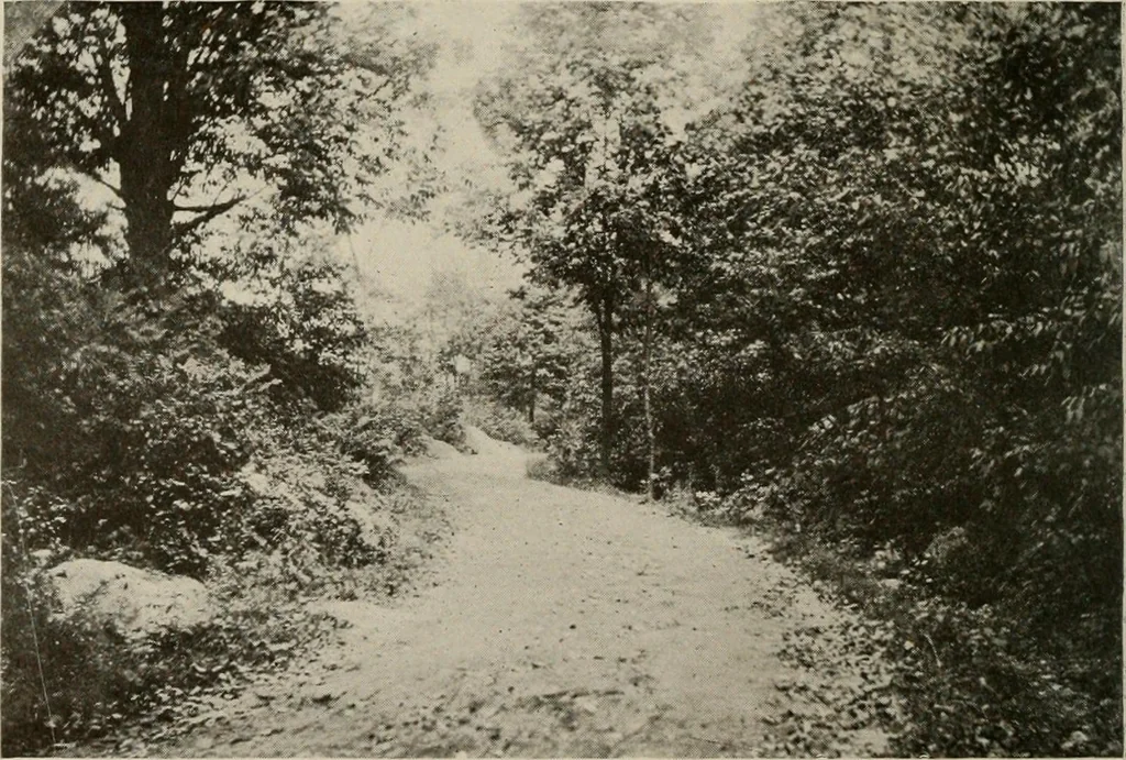 An illustration from How to make a country place; an account of the successes and the mistakes of an amateur in thirty-five years of farming, building and development: together with a practical plan for securing a home and an independent income, starting with small capital, 1914, leaf 81