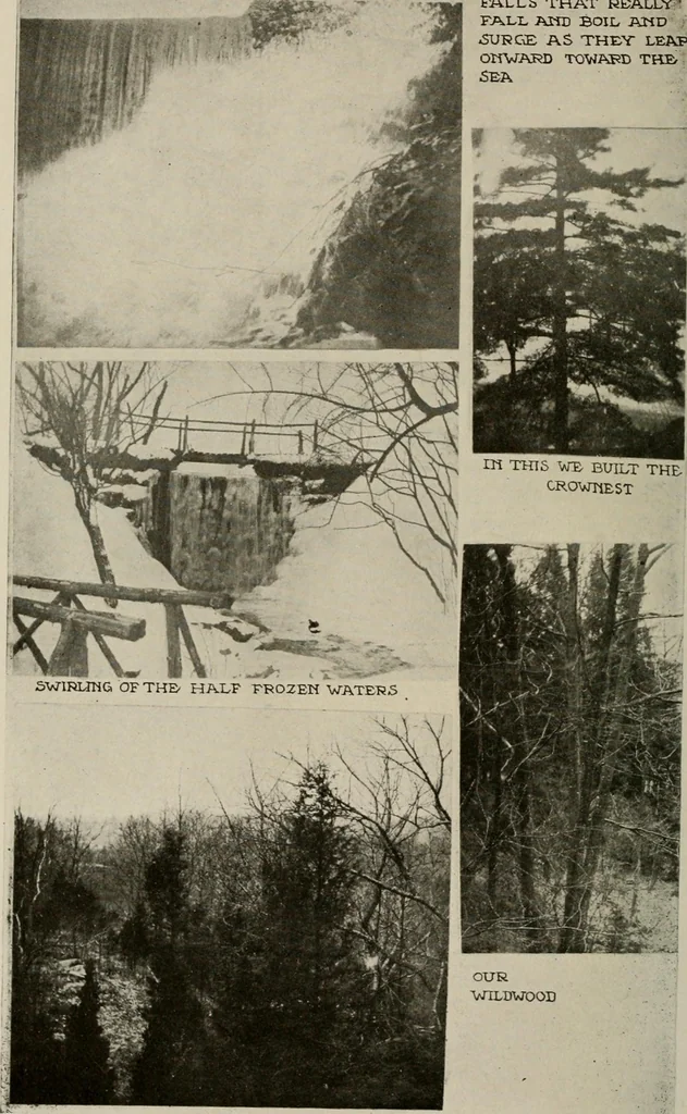 An illustration from How to make a country place; an account of the successes and the mistakes of an amateur in thirty-five years of farming, building and development: together with a practical plan for securing a home and an independent income, starting with small capital, 1914, leaf 83