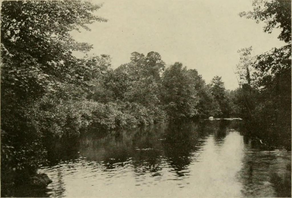 An illustration from How to make a country place; an account of the successes and the mistakes of an amateur in thirty-five years of farming, building and development: together with a practical plan for securing a home and an independent income, starting with small capital, 1914, leaf 84