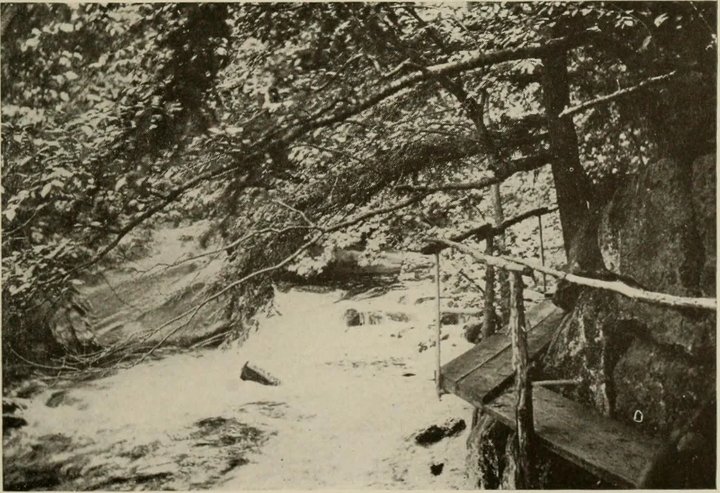 An illustration from How to make a country place; an account of the successes and the mistakes of an amateur in thirty-five years of farming, building and development: together with a practical plan for securing a home and an independent income, starting with small capital, 1914, leaf 86