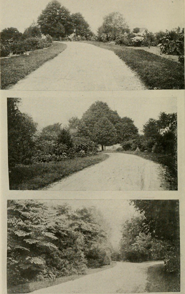An illustration from How to make a country place; an account of the successes and the mistakes of an amateur in thirty-five years of farming, building and development: together with a practical plan for securing a home and an independent income, starting with small capital, 1914, leaf 91
