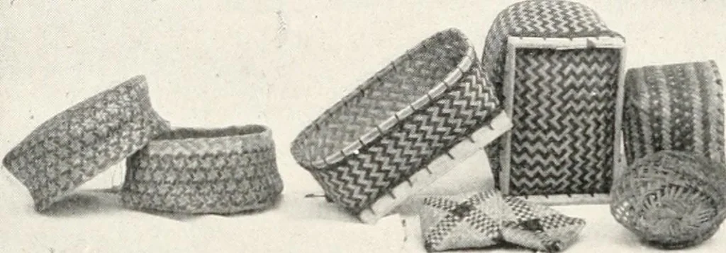 An illustration from How to make Indian and other baskets, 1903, leaf 113