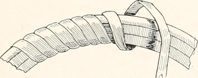 An illustration from How to make Indian and other baskets, 1903, leaf 120