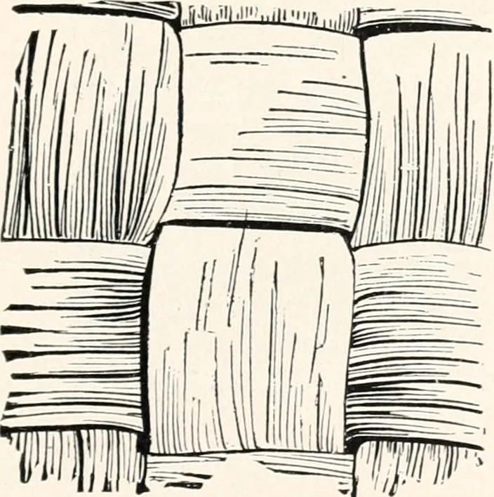 An illustration from How to make Indian and other baskets, 1903, leaf 126