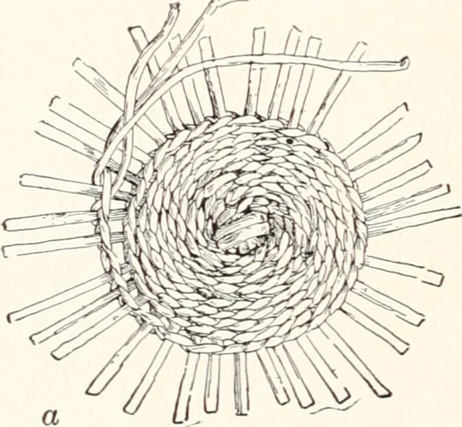 An illustration from How to make Indian and other baskets, 1903, leaf 131