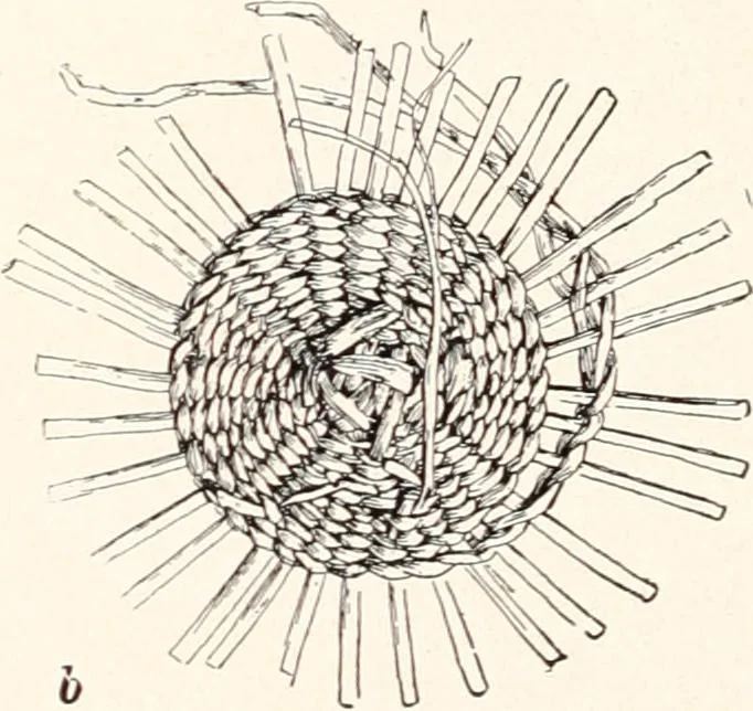 An illustration from How to make Indian and other baskets, 1903, leaf 131
