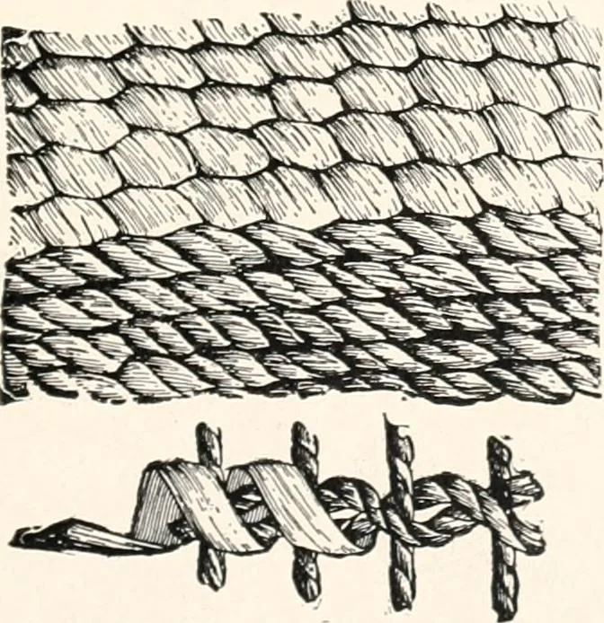 An illustration from How to make Indian and other baskets, 1903, leaf 132