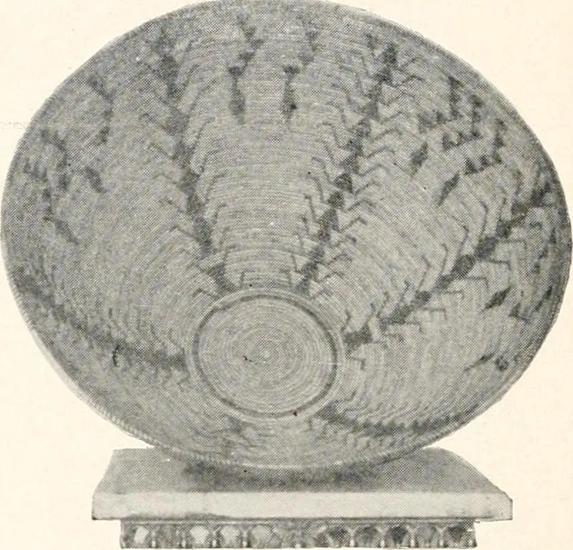 An illustration from How to make Indian and other baskets, 1903, leaf 133