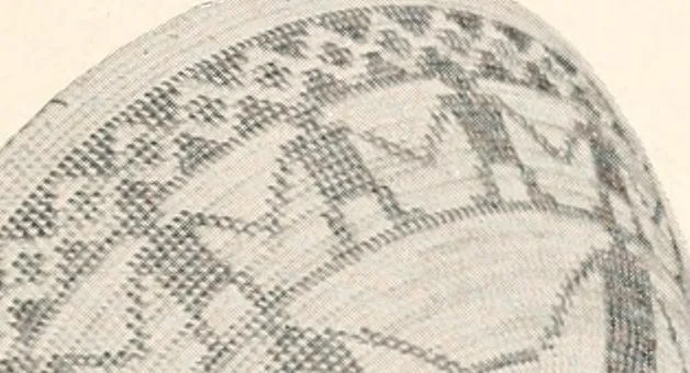 An illustration from How to make Indian and other baskets, 1903, leaf 134