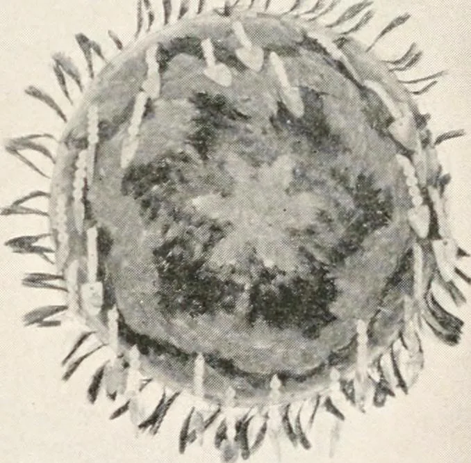 An illustration from How to make Indian and other baskets, 1903, leaf 137
