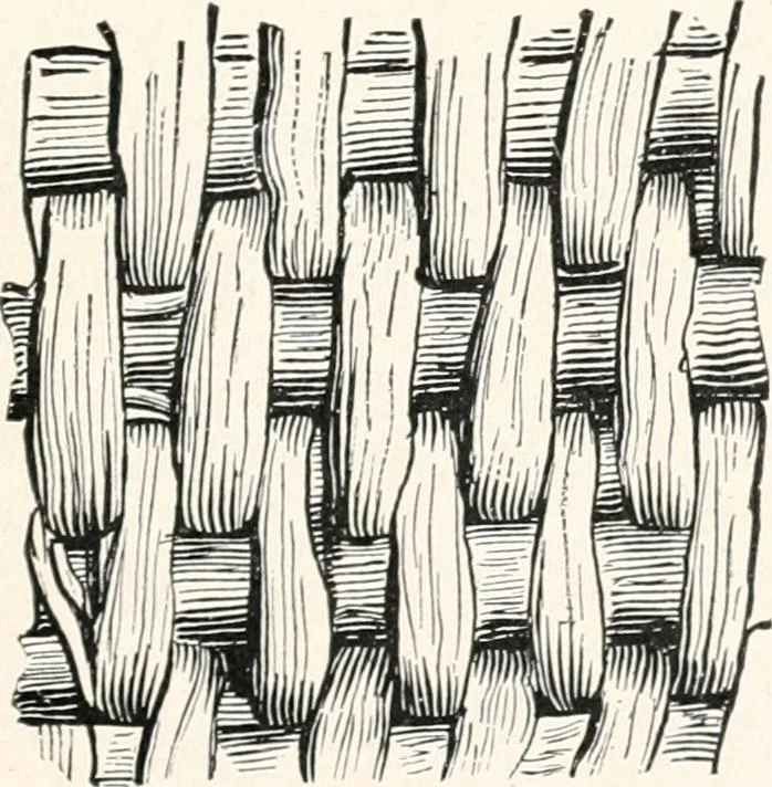 An illustration from How to make Indian and other baskets, 1903, leaf 64