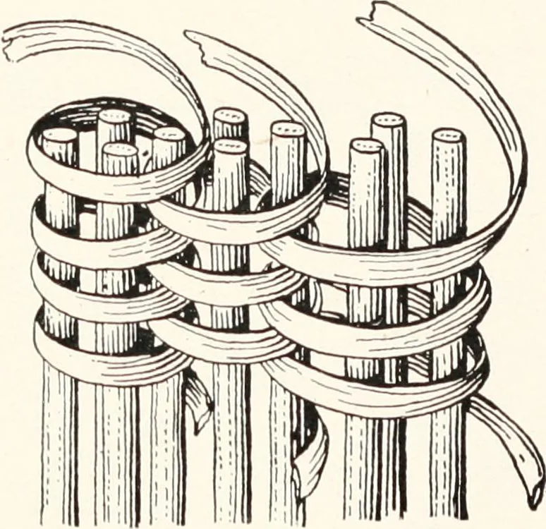 An illustration from How to make Indian and other baskets, 1903, leaf 65