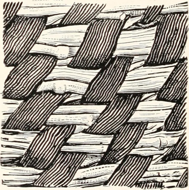 An illustration from How to make Indian and other baskets, 1903, leaf 65