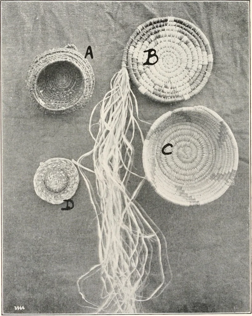 An illustration from How to make Indian and other baskets, 1903, leaf 69