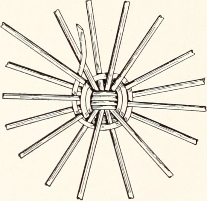 An illustration from How to make Indian and other baskets, 1903, leaf 75