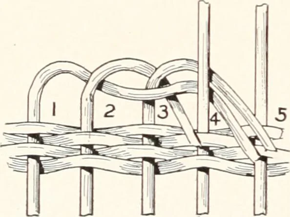 An illustration from How to make Indian and other baskets, 1903, leaf 81