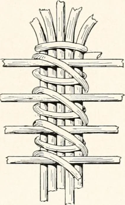 An illustration from How to make Indian and other baskets, 1903, leaf 88